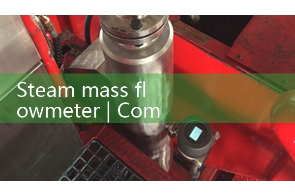 Steam mass flowmeter